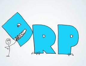  ERPĿʵʩ