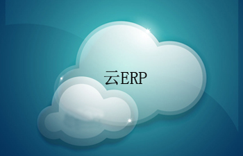 ����ERPϵͳ,����ERP